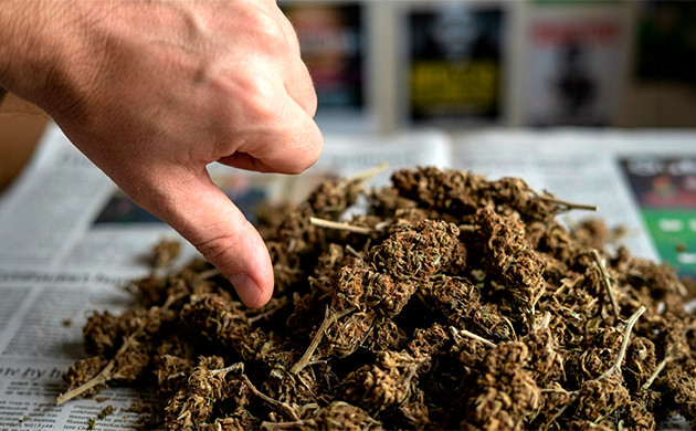 Geringes Unkraut braunes Unkraut