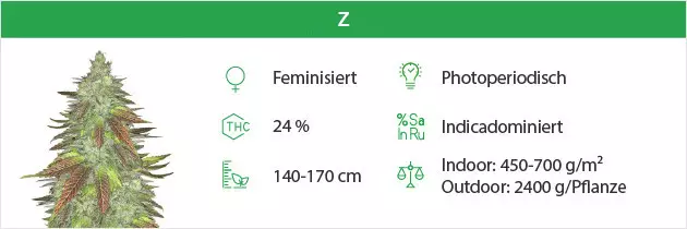 Zkittlez free seeds