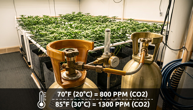 CO2-Generator für Anlagen