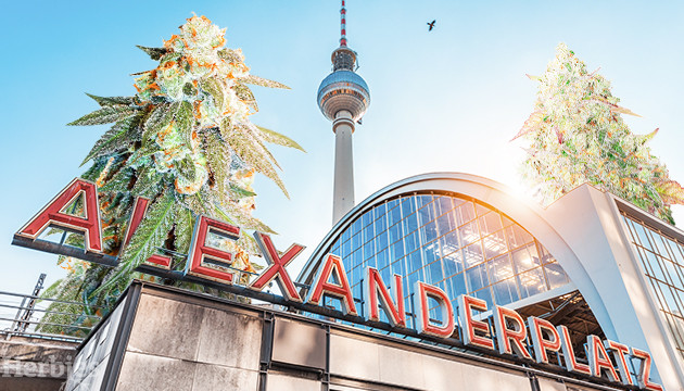 Cannabissamen in Berlin