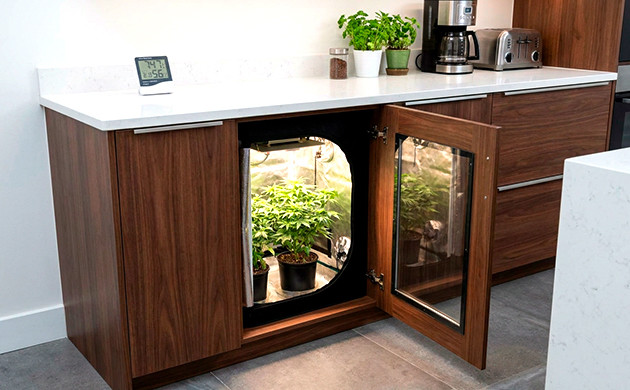 billige Stealth Grow Box
