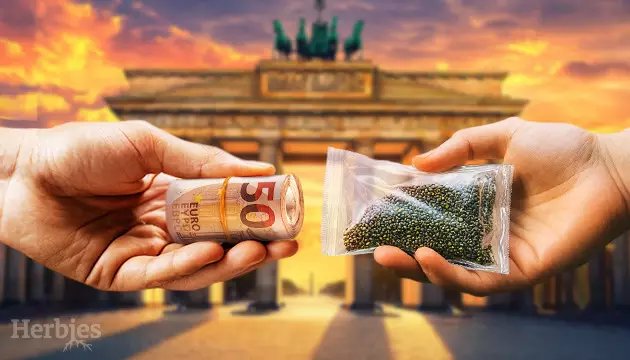 best cannabis seeds to grow in germany