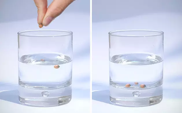 hanfsamen im wasserglas keimen lassen