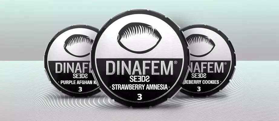 Dinafem Seeds