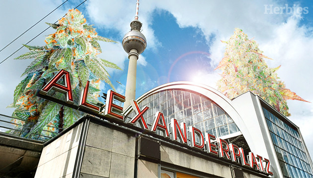 best seeds in berlin 