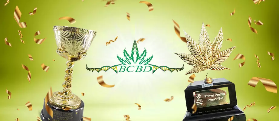BC Bud Depot