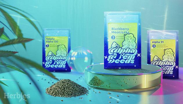 herbies heißt alphafem seeds willkommen