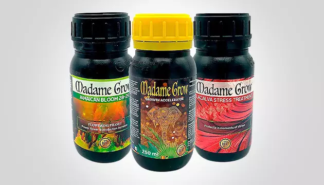 Madame Grow Kit