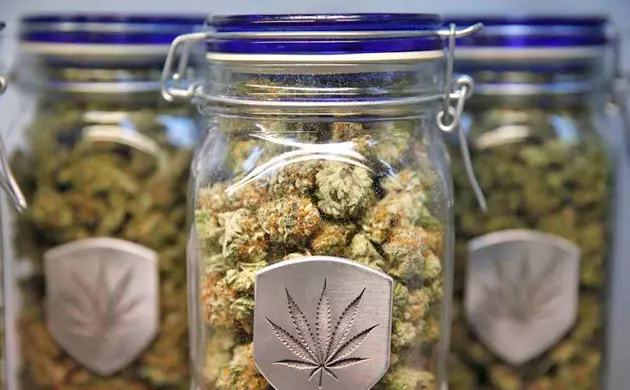 can moldy buds be saved