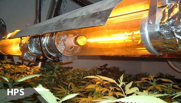 Beleuchtung für Cannabis HPS