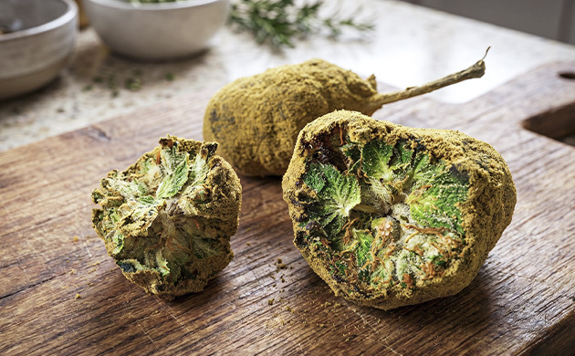 kief thc percentage