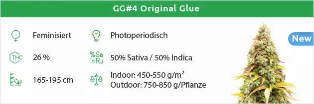 Gorilla Glue Gratis Samen