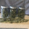 Wild Thailand (World of Seeds) Cannabis-Samen zu verkaufen