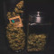 Stress Killer Automatic CBD (RQS) Cannabis-Samen zu verkaufen