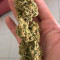 Bruce Banner Auto Cannabis-Samen Kaufen