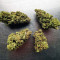 Blue Cheese (Big Buddha Seeds) Cannabis-Samen
