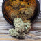 Gorilla SFV OG (Expert Seeds) Cannabis-Samen