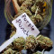 Purple Punch Auto Cannabis-Samen Kaufen
