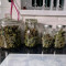 Kaufe Gorilla Z Auto Samen feminisiert von Fast Buds