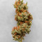 Auto Critical Orange Punch Feminized (Dutch Passion)