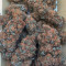 Girl Scout Cookies (Original Sensible Seeds) Cannabis-Samen zu verkaufen