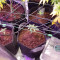 Purple Lemonade Auto Cannabis-Samen Kaufen