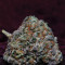 Fire OG Kush (Big Head Seeds) Cannabis-Samen