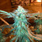 LA Confidential (DNA Genetics) Cannabis-Samen