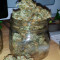 Auto Anubis (Pyramid Seeds) Cannabis-Samen