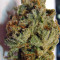 Strawberry Cough (Dutch Passion) Cannabis-Samen