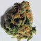 Criminal+ (Ripper Seeds) Cannabis-Samen