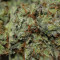 Chronic Thunder (Barney's Farm) Cannabis-Samen zu verkaufen