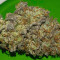 Special Kush #1 (RQS) Cannabis-Samen zu verkaufen