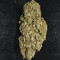 Original Auto AK (Fast Buds) Cannabis-Samen