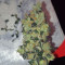 Wedding Cake Auto feminisierte Samen (Barney’s Farm)