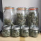 Original Auto OG Kush (Fast Buds) Cannabis-Samen zu verkaufen