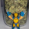 Cherry Pie (Female Seeds) Cannabis-Samen