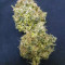 Sour Ripper (Ripper Seeds) Cannabis-Samen zu verkaufen