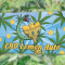 CBD Lemon Auto Samen feminisiert (Herbies Seeds)