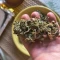 Wedding Cake Auto (Barney's Farm) Cannabis-Samen zu verkaufen