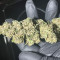 Blueberry OG Cannabis-Samen Kaufen