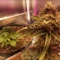 Gorilla Cookies Auto (Fast Buds) Cannabis-Samen zu verkaufen