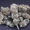 Wedding Cake (Barney's Farm) Cannabis-Samen zu verkaufen