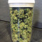 Auto White Widow Cannabis-Samen Kaufen