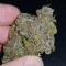 Cream Cookies Auto (Fast Buds) Cannabis-Samen