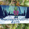 Northern Lights Auto feminisierte Samen (Herbies Seeds)