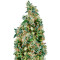 First Lady regular (Sensi Seeds) Cannabis-Samen