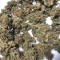 Bruce Banner Auto Cannabis-Samen Kaufen