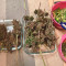Auto Blackberry Kush Cannabis-Samen Kaufen