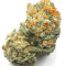 Dogstar Dawg (Big Head Seeds) Cannabis-Samen